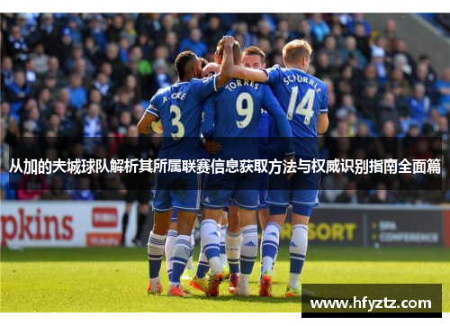 从加的夫城球队解析其所属联赛信息获取方法与权威识别指南全面篇
