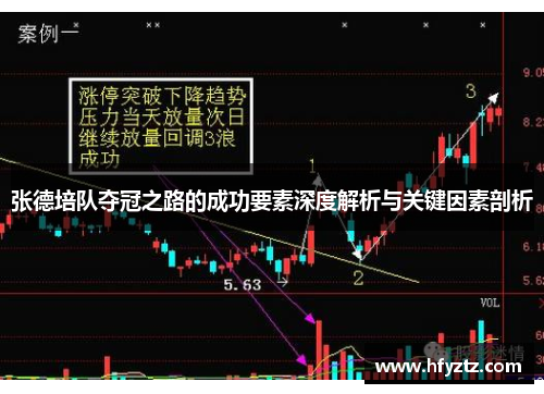 张德培队夺冠之路的成功要素深度解析与关键因素剖析